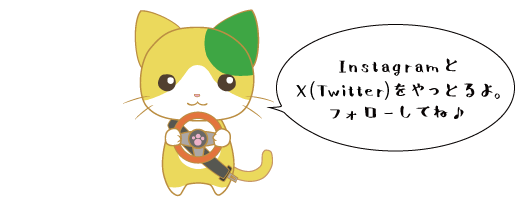 InstagramとTwitterをやっとるよ。フォローしてね♪